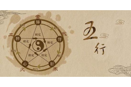 郎世宁是否已步入婚姻殿堂？