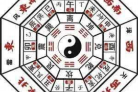 “二十载婚姻：爱与坚守，岁月见证的情感长廊”