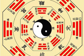 龟神月老：婚姻的守护者