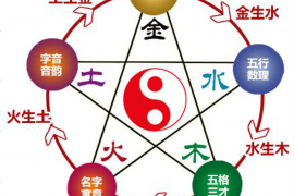 了解你的出生八字，探索命运密码