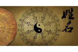 什么样的人具有极高的悟性水平？