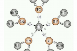 千钧一发：探寻生肖的奥秘