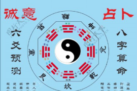 苑五行属于哪一种元素？