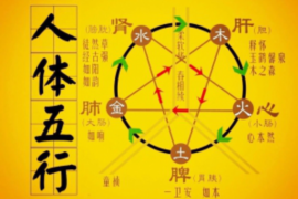 楚辞启发下的女孩取名指南：传承与创新共融，赋予寓意美好