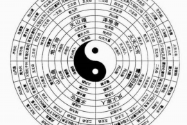 猪在中国传统文化中的重要地位和象征意义
