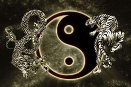 八字合适的座位和姿势暗示着什么？