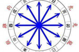 哪些生肖在逐渐获得成功？