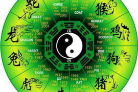 2022年属虎人的运势展望
