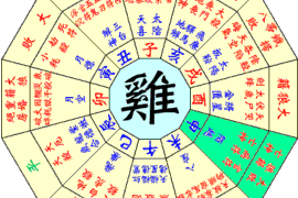 面对婚姻诈骗，如何准备有效的证据来维护自己的权益？