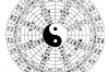 11月23日出生的射手座：活力乐观，追求自由和梦想，热情多情